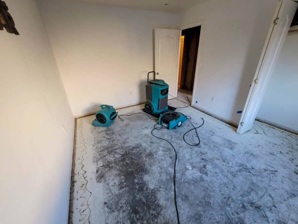 Best Flooded house restoration  in Mastic, NY
