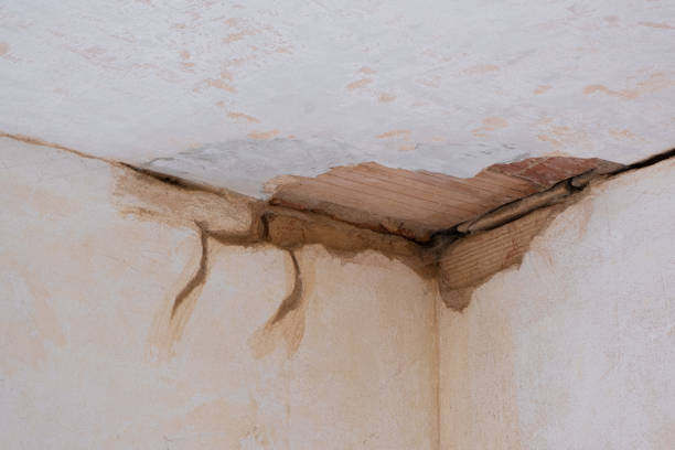 Best Water damage restoration insurance claims  in Mastic, NY