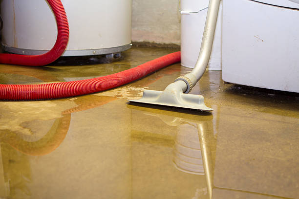  Mastic, NY Water damage restoration Pros