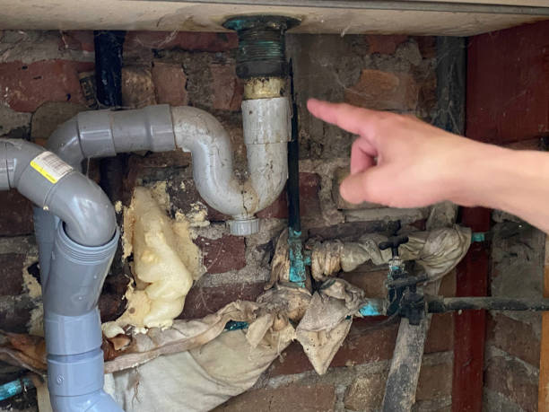Best Professional water damage repair  in Mastic, NY