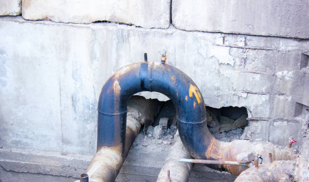 Best Basement water damage restoration  in Mastic, NY