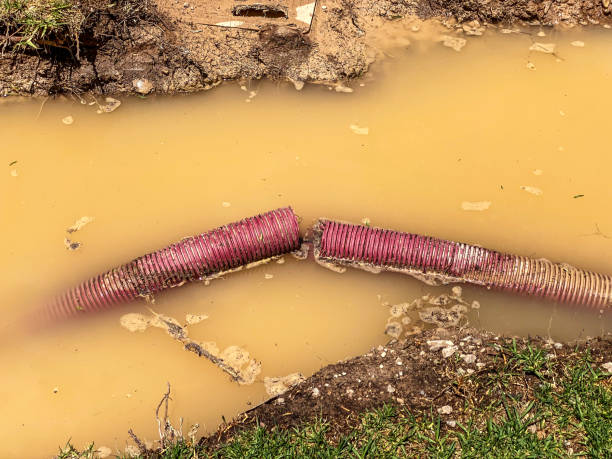 Best Water damage restoration near me  in Mastic, NY