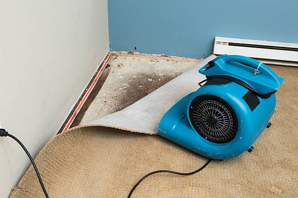 Best Local water damage restoration  in Mastic, NY